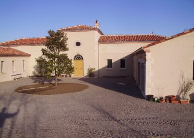 Plantation Magnolia Grandiflora Mature