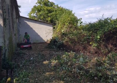 Débroussaillage roncier.