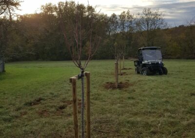 Plantation arbres fruitiers