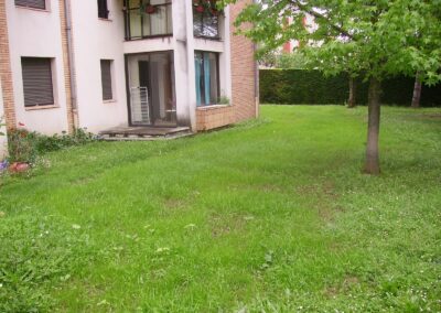 Reprise d'un gazon après: dégât causé par une nacelle