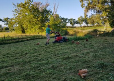Débroussaillage prairie