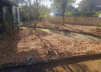 Paillage plaquette chêne.