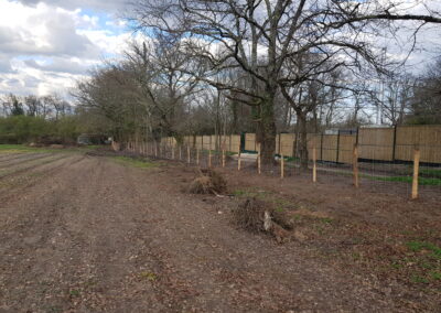 Pose de clôture antigibier.