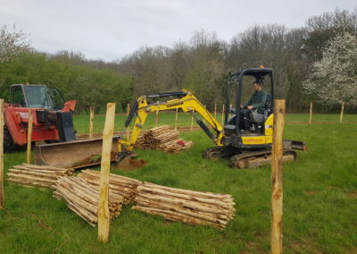trous pour la plantation d'arbres fruitiers.