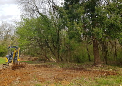 Débroussaillage et nettoyage de sous bois.