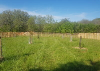 Pose de clôture girondine (ganivelle).