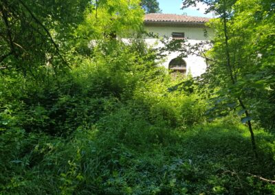 Débroussaillage autour d'une maison: avant.
